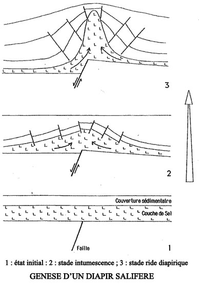 Genèse d’un diapir salifère