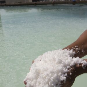 Sel de Salies-de-Béarn