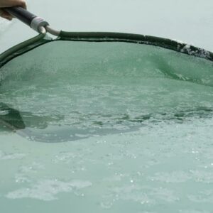 Sel de Salies-de-Béarn