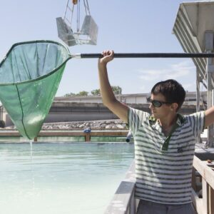 Sel de Salies-de-Béarn