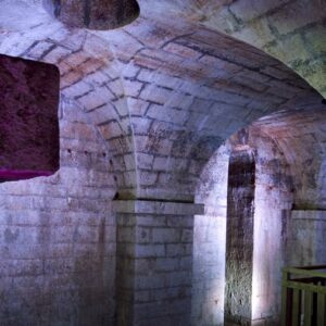 Sel de Salies-de-Béarn