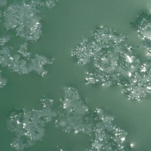 Sel de Salies-de-Béarn