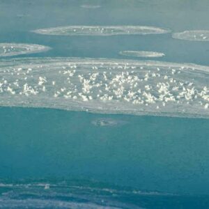 Sel de Salies-de-Béarn