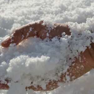 Sel de Salies-de-Béarn